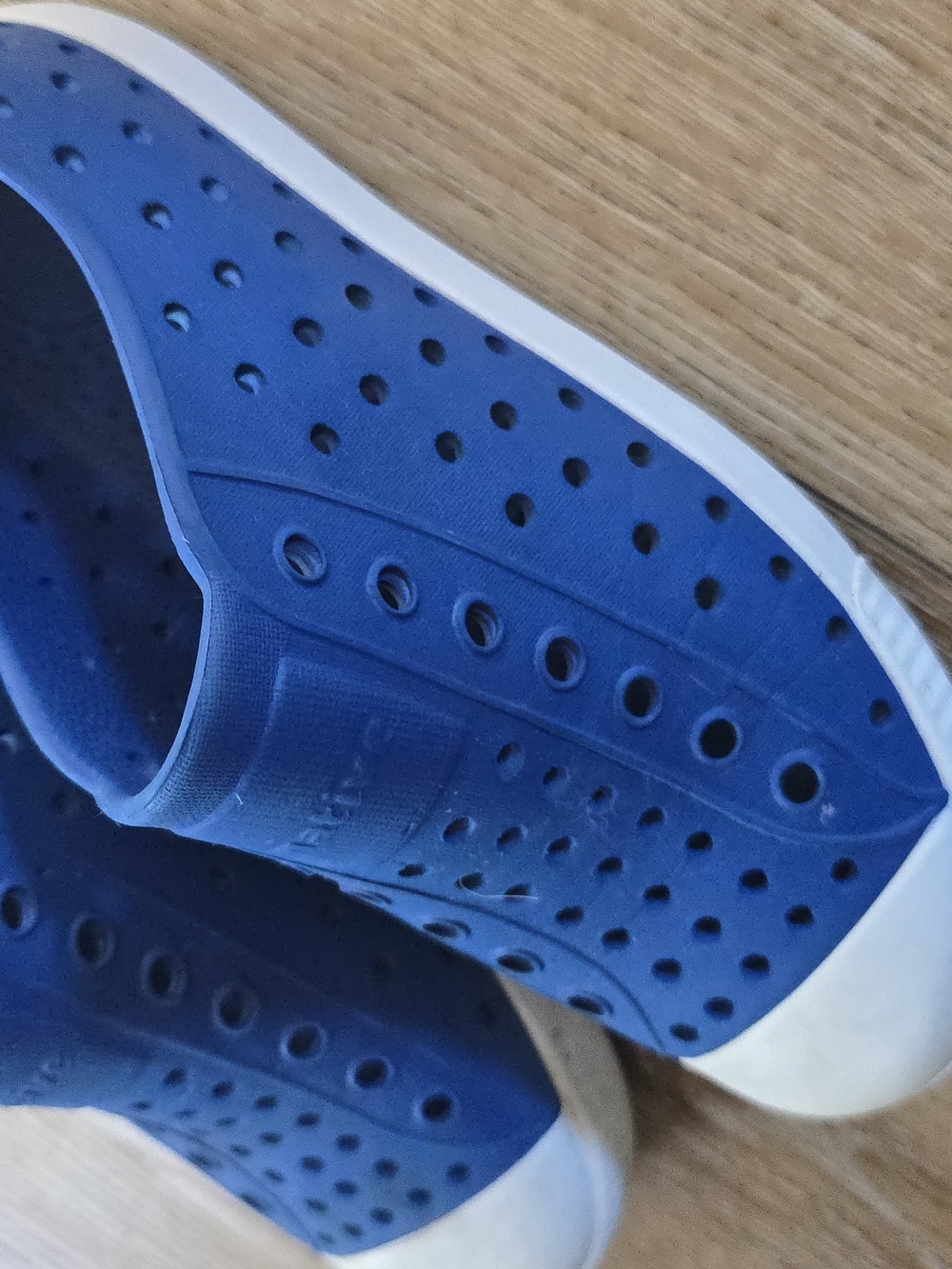 Native Shoes Kids Royal Blue Slip-On Perforated Sneakers